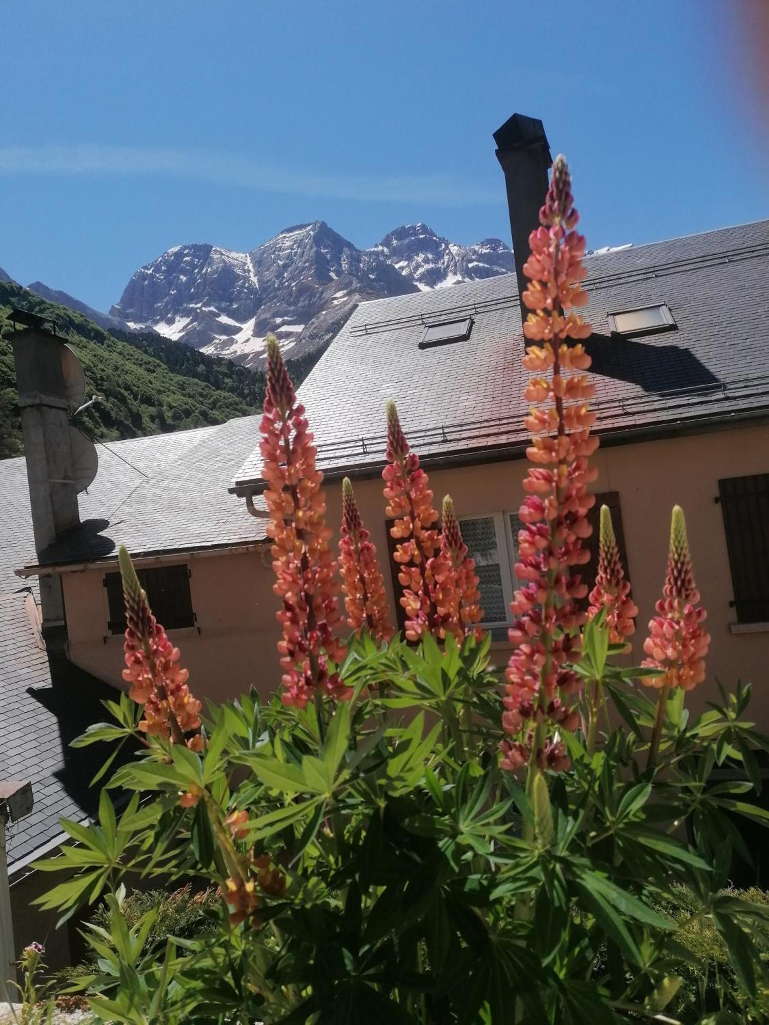 Chambres D'Hotes L'Astazou Gavarnie Exterior foto